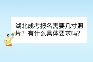 湖北成考報(bào)名需要幾寸照片？有什么具體要求嗎？