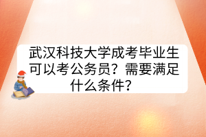武漢科技大學成考畢業(yè)生可以考公務(wù)員？需要滿足什么條件？