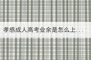 孝感成人高考業(yè)余是怎么上課的？