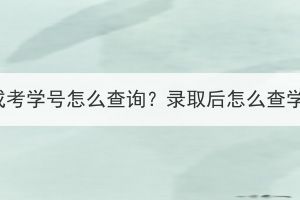 湖北成考學(xué)號(hào)怎么查詢(xún)？錄取后怎么查學(xué)籍？
