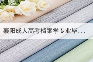 襄陽(yáng)成人高考檔案學(xué)專(zhuān)業(yè)畢業(yè)后去向有哪些？