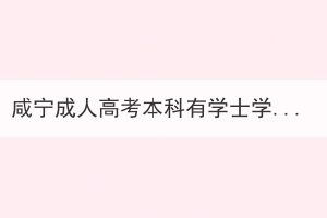 咸寧成人高考本科有學(xué)士學(xué)位嗎？