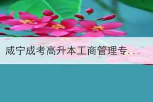 咸寧成考高升本工商管理專業(yè)的業(yè)余形式難度怎么樣？