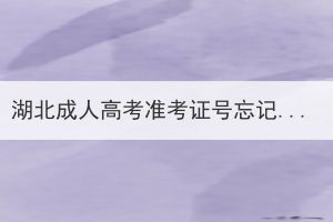 湖北成人高考準(zhǔn)考證號(hào)忘記了怎么查詢成績？