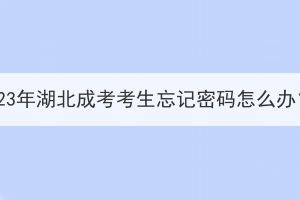 2023年湖北成考考生忘記密碼怎么辦？