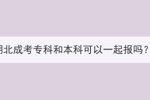 湖北成考專科和本科可以一起報(bào)嗎？