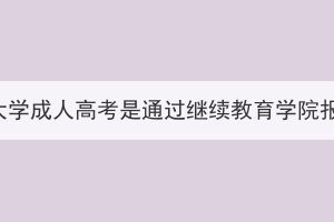 武漢科技大學(xué)成人高考是通過繼續(xù)教育學(xué)院報名的嗎？