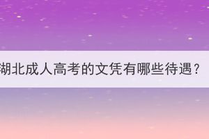 湖北成人高考的文憑有哪些待遇？