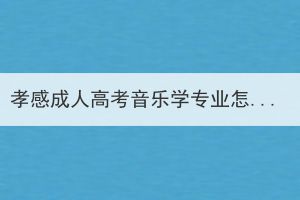 孝感成人高考音樂學(xué)專業(yè)怎么樣？