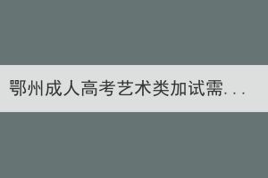 鄂州成人高考藝術(shù)類加試需要自帶考試工具嗎？