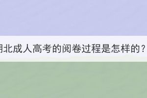 湖北成人高考的閱卷過程是怎樣的？