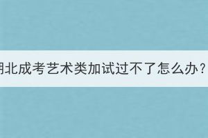 湖北成考藝術(shù)類加試過(guò)不了怎么辦？