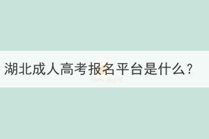 湖北成人高考報(bào)名平臺(tái)是什么？