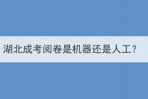 湖北成考閱卷是機(jī)器還是人工？