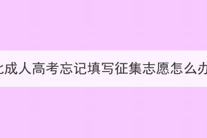 湖北成人高考忘記填寫征集志愿怎么辦？