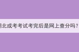 湖北成考考試考完后是網(wǎng)上查分嗎？