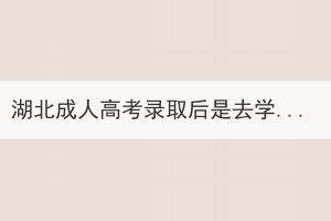 湖北成人高考錄取后是去學(xué)校上課還是網(wǎng)課？