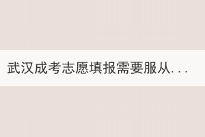 武漢成考志愿填報(bào)需要服從學(xué)校調(diào)劑嗎？