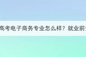 湖北成人高考電子商務(wù)專業(yè)怎么樣？就業(yè)前景如何？