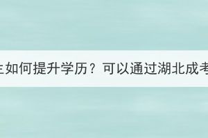 高中生如何提升學(xué)歷？可以通過(guò)湖北成考嗎？