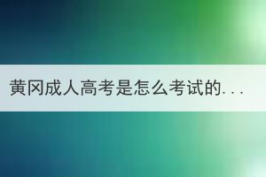 黃岡成人高考是怎么考試的？一年可以考幾次？