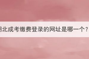 湖北成考繳費登錄的網(wǎng)址是哪一個？