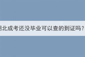 湖北成考還沒畢業(yè)可以查的到證嗎？