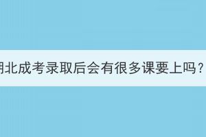 湖北成考錄取后會有很多課要上嗎？