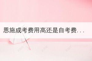 恩施成考費(fèi)用高還是自考費(fèi)用高？