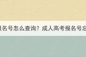湖北成人高考報名號怎么查詢？成人高考報名號忘記了怎么辦？