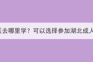 成人學(xué)中醫(yī)去哪里學(xué)？可以選擇參加湖北成人高考嗎？