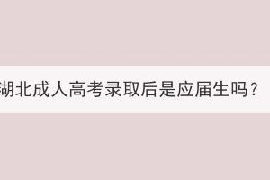 湖北成人高考錄取后是應(yīng)屆生嗎？