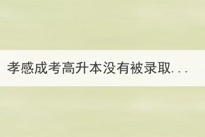 孝感成考高升本沒有被錄取能報成考?？茊?？