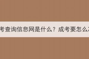 湖北成考查詢信息網(wǎng)是什么？成考要怎么準(zhǔn)備？