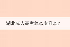 湖北成人高考怎么專升本？