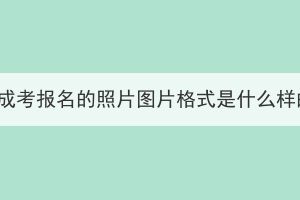 湖北成考報名的照片圖片格式是什么樣的？