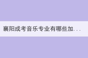 襄陽(yáng)成考音樂(lè)專業(yè)有哪些加試安排？如何備考？