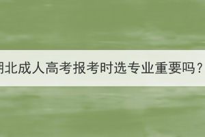 湖北成人高考報考時選專業(yè)重要嗎？