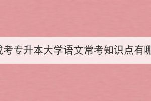 湖北成考專升本大學(xué)語文?？贾R點(diǎn)有哪些？