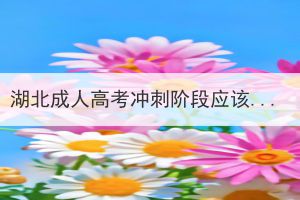 湖北成人高考沖刺階段應(yīng)該做到哪幾點(diǎn)？