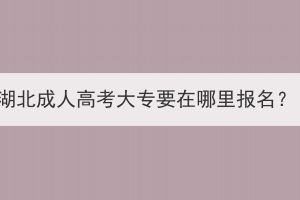 湖北成人高考大專要在哪里報(bào)名？