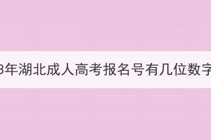 2023年湖北成人高考報名號有幾位數(shù)字？