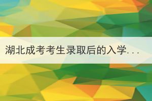 湖北成考考生錄取后的入學材料是什么？