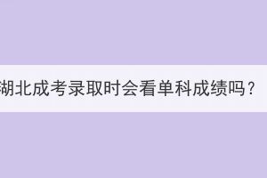 湖北成考錄取時會看單科成績嗎？
