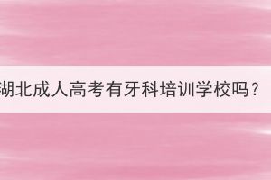 湖北成人高考有牙科培訓(xùn)學(xué)校嗎？