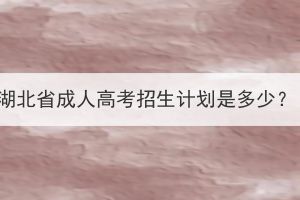 湖北省成人高考招生計(jì)劃是多少？