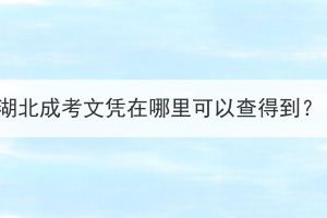湖北成考文憑在哪里可以查得到？